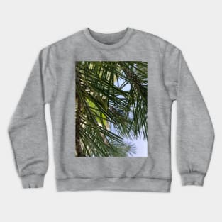 Pine Needles Crewneck Sweatshirt